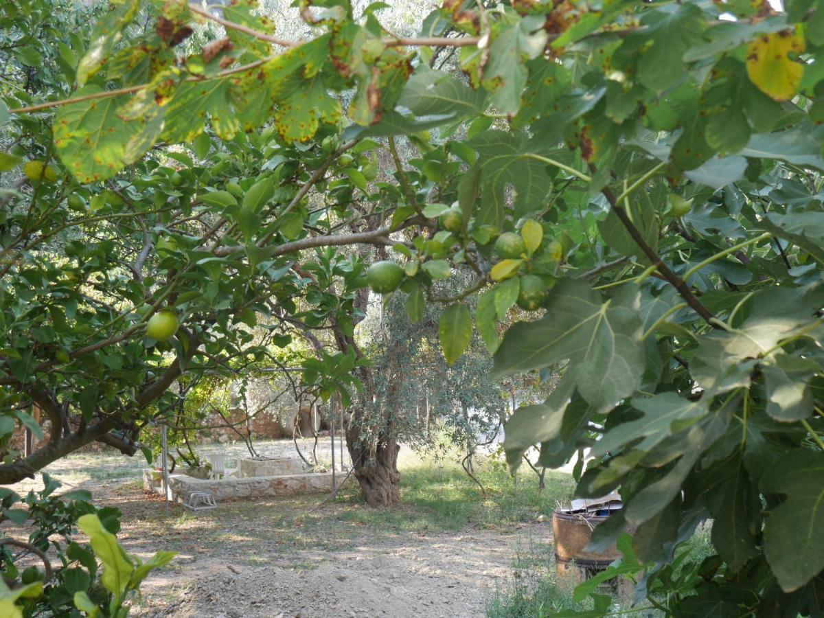 O Pyrgos Accommodations Panormos (Skopelos) Exterior foto